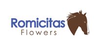 Romicitas